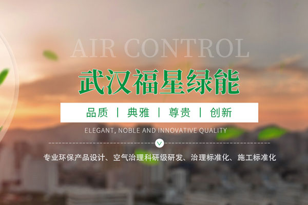 重庆武汉福星绿能环保工程有限公司