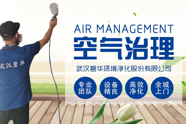 深圳武汉碧华环境净化股份有限公司