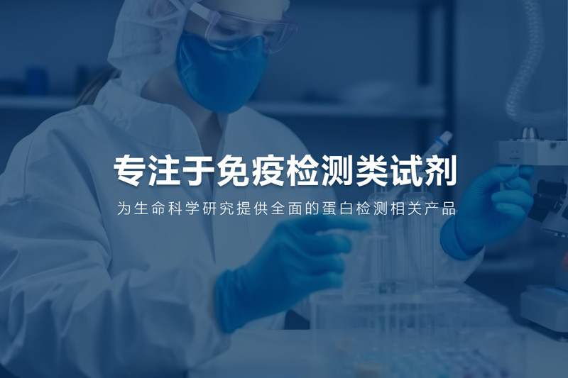 武汉爱赛恩斯生物技术有限公司